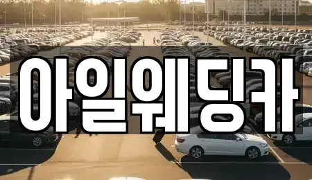 경기 성남시 수정구 태평동 단기렌트카 전문 아일웨딩카