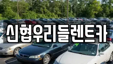 경기 성남시 수정구 태평동 렌트카 전문 신협우리들렌트카