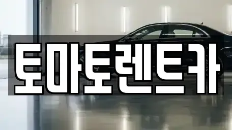 경기 성남시 수정구 태평동 렌트카 전문 토마토렌트카