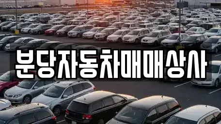 경기 성남시 수정구 태평동 중고차 전문 분당자동차매매상사