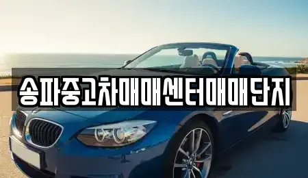 경기 성남시 수정구 태평동 중고차 전문 송파중고차매매센터매매단지