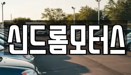 경기 성남시 수정구 태평동 중고차 전문 신드롬모터스
