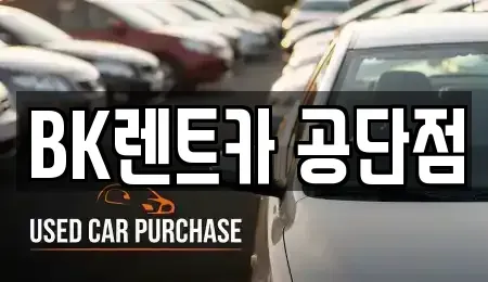 경기 성남시 중원구 상대원동 렌트카 전문 BK렌트카 공단점