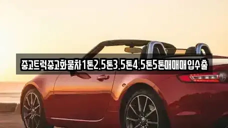 경기 성남시 중원구 상대원동 중고차 전문 중고트럭중고화물차1톤2.5톤3.5톤4.5톤5톤매매매입수출