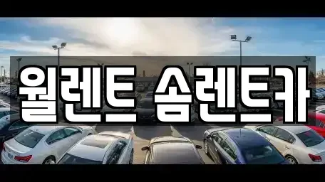 경기 수원시 권선구 렌트카 전문 월렌트 솜렌트카