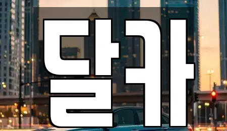 경기 수원시 권선구 탑동 렌트카 전문 달카