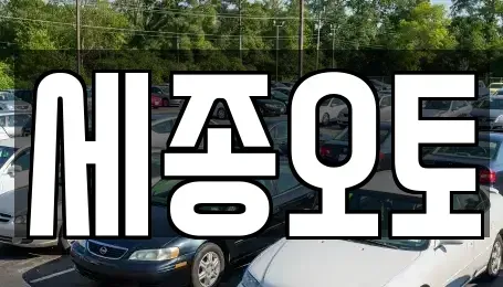 경기 수원시 권선구 탑동 렌트카 전문 세종오토