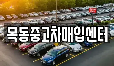 경기 시흥시 장곡동 중고차매입 전문 목동중고차매입센터