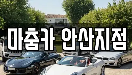 경기 안산시 단원구 고잔동 단기렌트카 전문 마춤카 안산지점