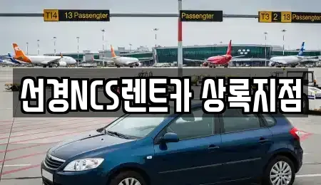 경기 안산시 단원구 고잔동 단기렌트카 전문 선경NCS렌트카 상록지점
