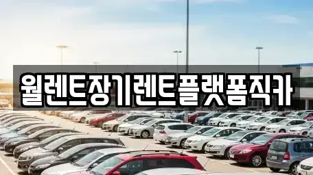 경기 안산시 단원구 고잔동 장기렌트카 전문 월렌트장기렌트플랫폼직카