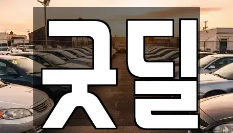 경기 안산시 단원구 고잔동 중고차 전문 굿딜