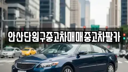 경기 안산시 단원구 고잔동 중고차 전문 안산단원구중고차매매중고차팔카