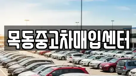 경기 안산시 단원구 고잔동 중고차매입 전문 목동중고차매입센터