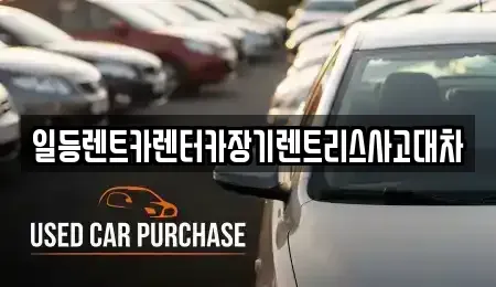 경기 안산시 상록구 건건동 렌트카 전문 일등렌트카렌터카장기렌트리스사고대차