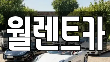경기 안성시 계동 렌트카 전문 월렌트카