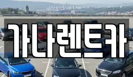 경기 안성시 도기동 렌트카 전문 가나렌트카