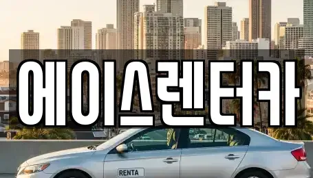 경기 안성시 도기동 렌트카 전문 에이스렌터카