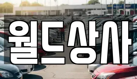 경기 안성시 도기동 중고차 전문 월드상사