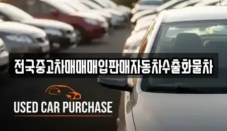 경기 안성시 도기동 중고차 전문 전국중고차매매매입판매자동차수출화물차