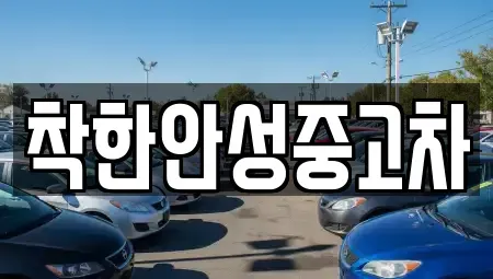 경기 안성시 도기동 중고차매매 전문 착한안성중고차