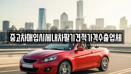 경기 안성시 도기동 중고차매입 전문 중고차매입시세내차팔기견적가격수출업체