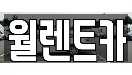 경기 안성시 인지동 렌트카 전문 월렌트카