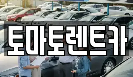경기 안성시 인지동 렌트카 전문 토마토렌트카