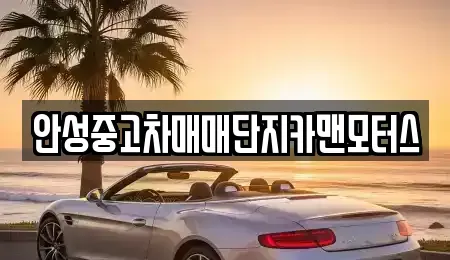 경기 안성시 인지동 중고차 전문 안성중고차매매단지카맨모터스
