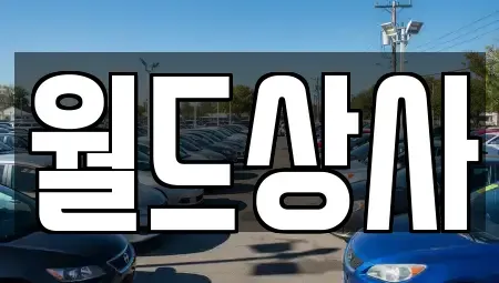 경기 안성시 인지동 중고차매매 전문 월드상사