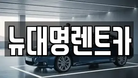 경기 안양시 동안구 비산동 렌트카 전문 뉴대명렌트카
