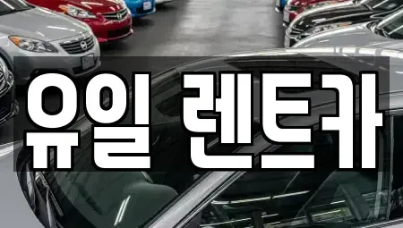 경기 안양시 동안구 비산동 렌트카 전문 유일 렌트카
