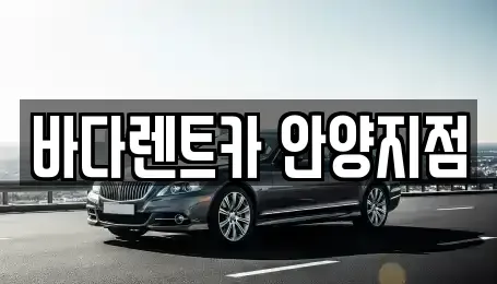경기 안양시 동안구 비산동 장기렌트카 전문 바다렌트카 안양지점
