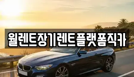 경기 안양시 동안구 비산동 장기렌트카 전문 월렌트장기렌트플랫폼직카