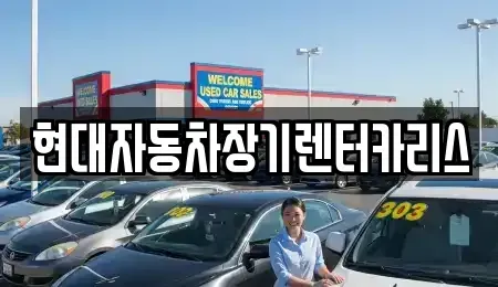 경기 안양시 동안구 비산동 장기렌트카 전문 현대자동차장기렌터카리스