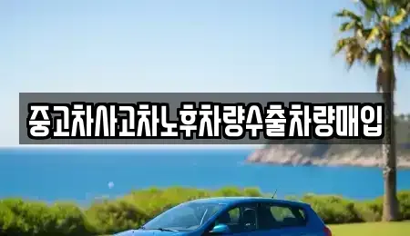 경기 안양시 동안구 비산동 중고차매매,단기렌트카,중고차매입,장기렌트카,중고차,렌트카