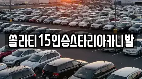 경기 양평군 단월면 렌트카 전문 쏠라티15인승스타리아카니발