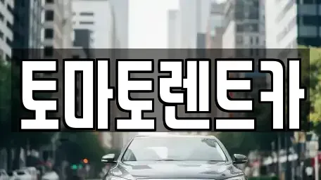 경기 양평군 단월면 렌트카 전문 토마토렌트카