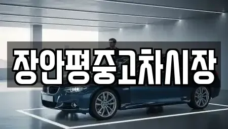 경기 양평군 단월면 중고차매매 전문 장안평중고차시장