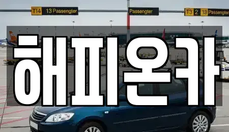 경기 양평군 단월면 중고차매매 전문 해피온카