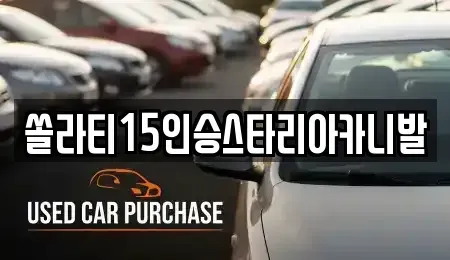 경기 양평군 용문면 렌트카 전문 쏠라티15인승스타리아카니발