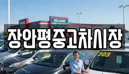 경기 양평군 용문면 중고차매매 전문 장안평중고차시장