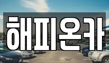 경기 양평군 용문면 중고차매매 전문 해피온카