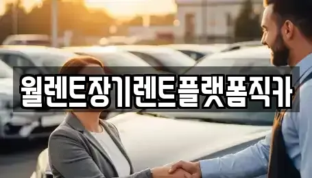 경기 오산시 양산동 렌트카 전문 월렌트장기렌트플랫폼직카