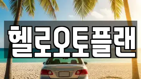 경기 오산시 양산동 장기렌트카 전문 헬로오토플랜
