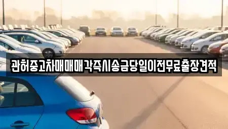 경기 오산시 양산동 중고차매매 전문 관허중고차매매매각즉시송금당일이전무료출장견적