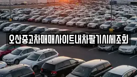 경기 오산시 양산동 중고차매매 전문 오산중고차매매사이트내차팔기시세조회