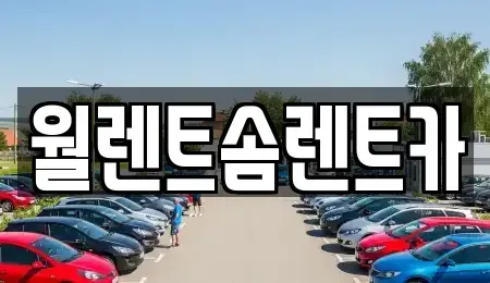 경기 오산시 은계동 렌트카 전문 월렌트솜렌트카