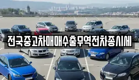 경기 오산시 은계동 중고차매매 전문 전국중고차매매수출무역전차종시세