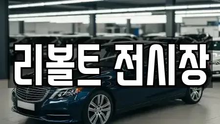 경기 용인시 기흥구 신갈동 중고차 전문 리볼트 전시장